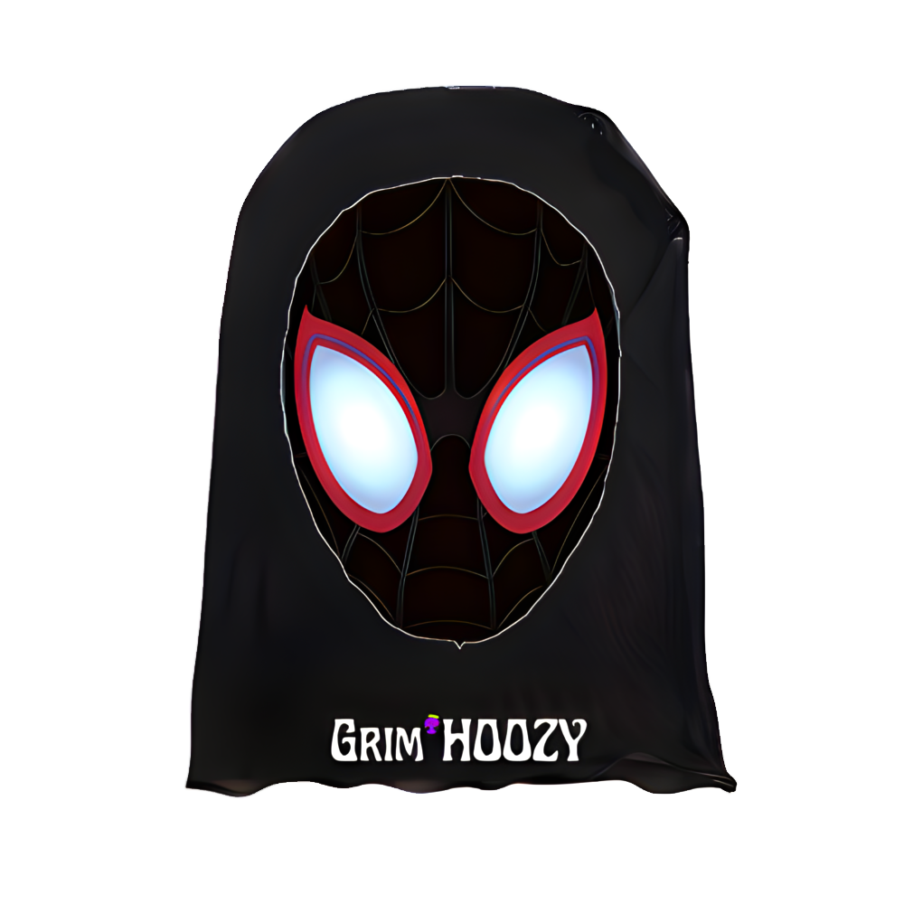 SPIDERMAN - HOOZY